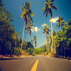 Finestyle的專輯Palm Tree (Instrumental Version)