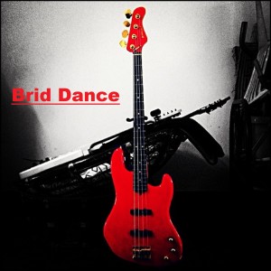 ดาวน์โหลดและฟังเพลง Brid Dance พร้อมเนื้อเพลงจาก Mr. Ooze