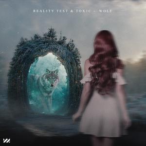 收聽Reality Test的Wolf歌詞歌曲