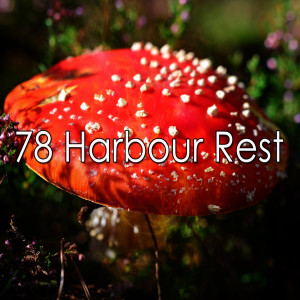 ดาวน์โหลดและฟังเพลง Advancing Rest พร้อมเนื้อเพลงจาก Relaxing Music Therapy