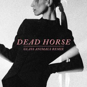 อัลบัม Dead Horse (Glass Animals Remix) ศิลปิน Hayley Williams