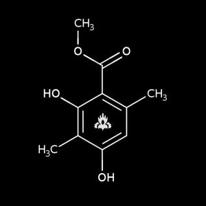 ดาวน์โหลดและฟังเพลง Evernyl พร้อมเนื้อเพลงจาก Drymer