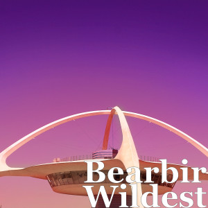 收听Bearbir的Wildest歌词歌曲