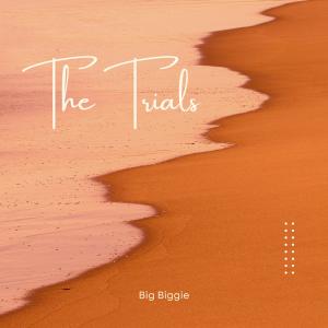 Album The Trials from Big Biggie