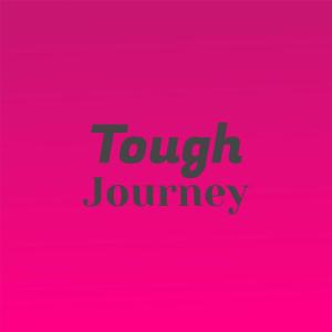 ดาวน์โหลดและฟังเพลง Enough Detest พร้อมเนื้อเพลงจาก Monia Hari