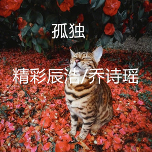 收聽精彩辰浩的孤獨歌詞歌曲