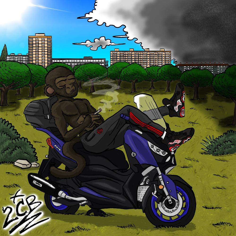 SUN / CLOUD (Explicit)
