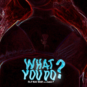 What You Do Feat.Zamio P - Single