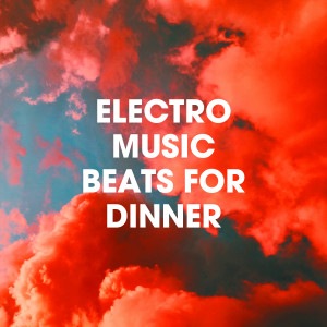 Electro House DJ的專輯Electro Music Beats for Dinner