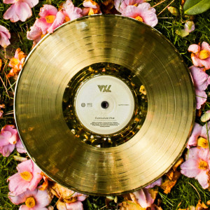 Listen to Pride song with lyrics from VXL