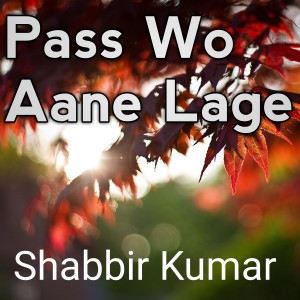 Shabbir Kumar的专辑Pass Wo Aane Lage