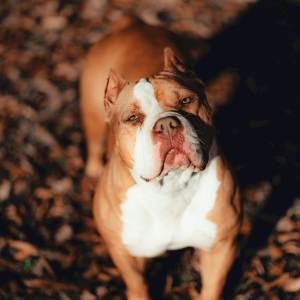 ดาวน์โหลดและฟังเพลง Shit Kan Get Wicked (Explicit) พร้อมเนื้อเพลงจาก Mr Mr