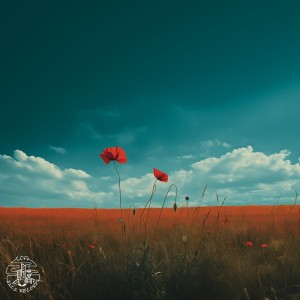 收聽Bcalm的Flourish歌詞歌曲
