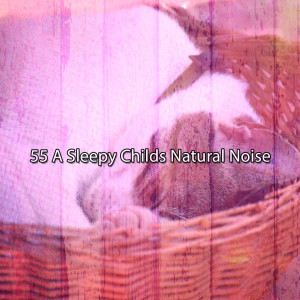 55 A Sleepy Childs Natural Noise