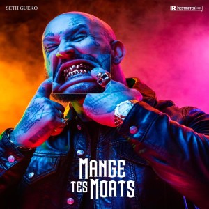 Album Le tigre qui pleure (Piano voix remix) (Explicit) from Seth Gueko