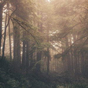 收聽Øfdream的Hermetic Law歌詞歌曲