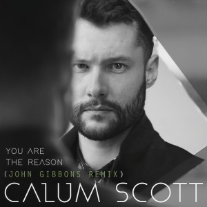 收聽Calum Scott的You Are The Reason (John Gibbons Remix)歌詞歌曲