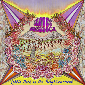 Album Little Bird in the Neighbourhood from James Maddock