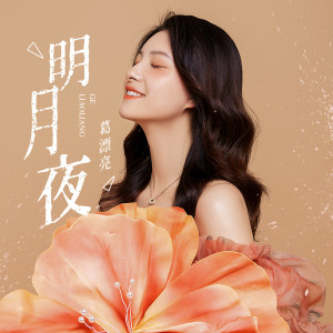 收听葛漂亮的明月夜歌词歌曲