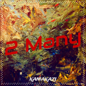 Listen to 2 Many (Explicit) song with lyrics from Kamakazi
