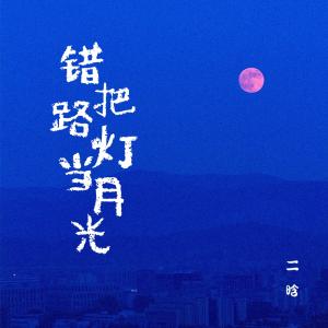 Album 错把路灯当月光 (深情版) from 二晗