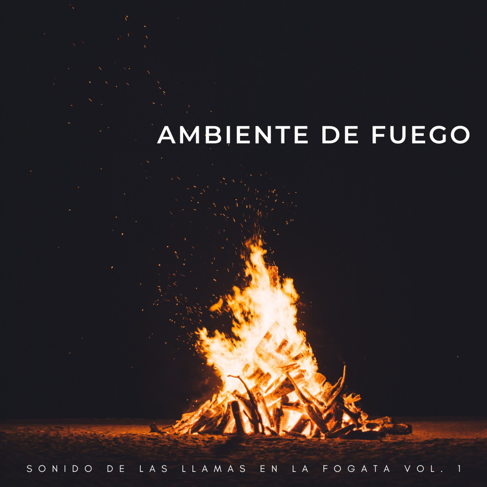 Canciones De Mi Fuego