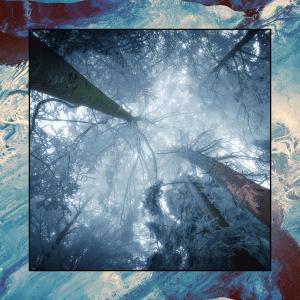 收聽Champion Xegg的Snow Globe歌詞歌曲