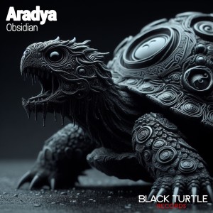 ดาวน์โหลดและฟังเพลง Descent into the Unknown พร้อมเนื้อเพลงจาก Aradya