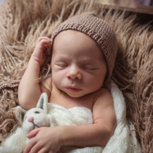 ดาวน์โหลดและฟังเพลง Old Mc Donald Had A Farm พร้อมเนื้อเพลงจาก Tidur Bayi Musik