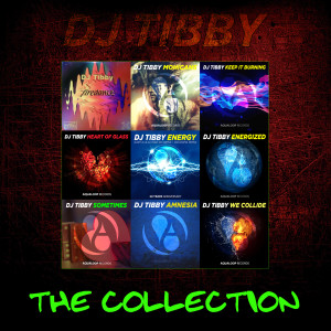 Album The Collection oleh DJ Tibby