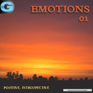Album Emotions, Vol. 1: Introspective, Positive from 