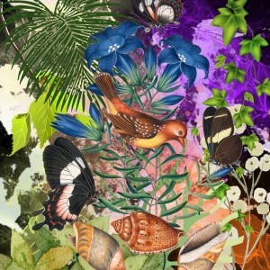 Listen to Kicau Burung Lovebird song with lyrics from Shellamplon