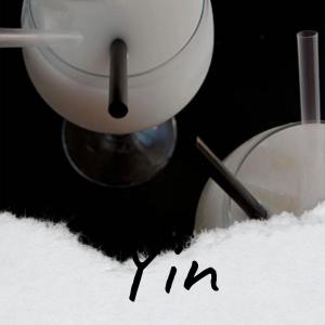Listen to Amir Babble song with lyrics from Gayan Brane