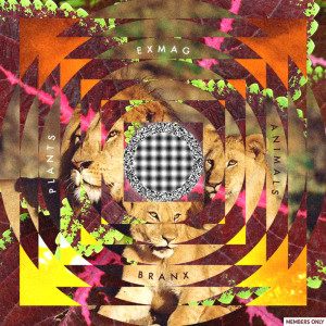 Listen to Ten Thousand Clams (What Does This Mean?) [feat. Eric Benny Bloom & Illumntr] song with lyrics from Exmag
