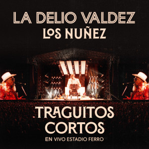 Listen to Traguitos Cortos (En Vivo Estadio Ferro) song with lyrics from La Delio Valdez