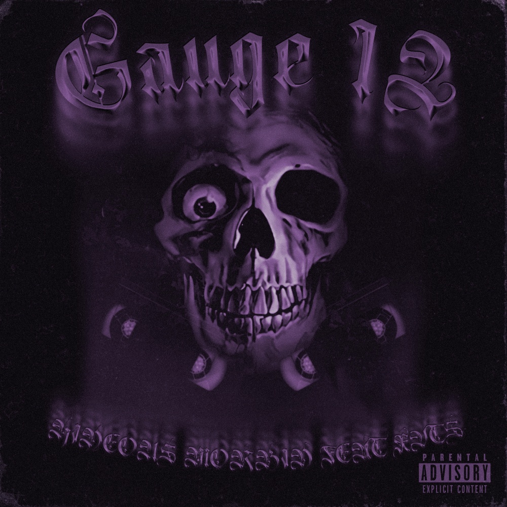 Gauge 12 (Explicit)