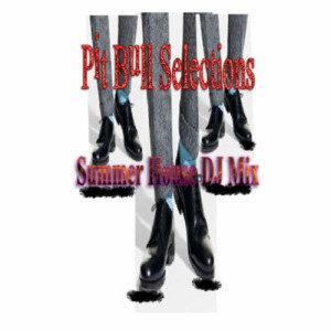 อัลบัม Pit Bull Selections ศิลปิน DJ Pit Bull