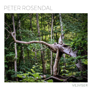 收聽Peter Rosendal的Almindsø歌詞歌曲