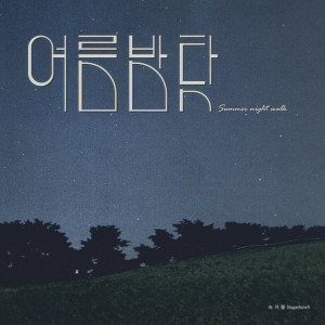 Listen to 여름밤 탓 (summer night walk) song with lyrics from Sugarbowl
