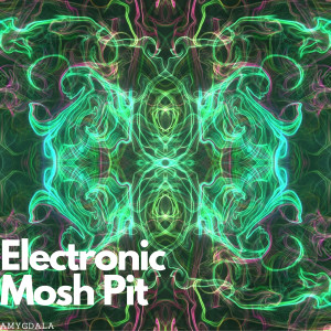 Album Amygdala from Electronic Mosh Pit