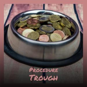 Album Procedure Trough from 