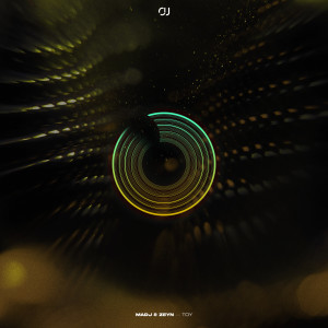 Album Toy from Madj