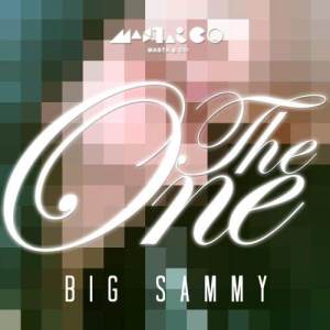 Album The One from Big Sammy