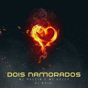 Album Dois Namorados (Explicit) from DJ Buiu