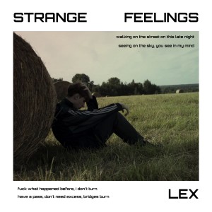 ดาวน์โหลดและฟังเพลง Strange Feelings (Explicit) พร้อมเนื้อเพลงจาก Lex