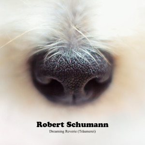 Listen to Dreaming Reverie (Träumerei) song with lyrics from Robert Schumann