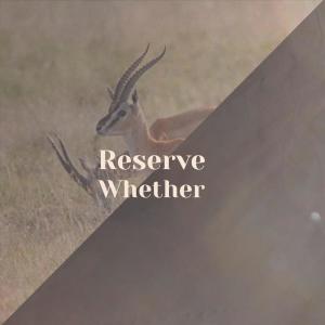 收听Diam Dard的Str Stream歌词歌曲