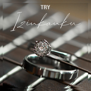 Listen to Izinkanku song with lyrics from Try