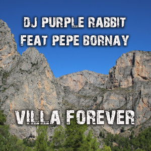 DJ Purple Rabbit的專輯Villa Forever