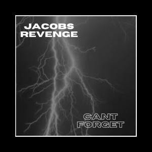 Listen to CASTLE WALLS  (Explicit) song with lyrics from JACOBS REVENGE